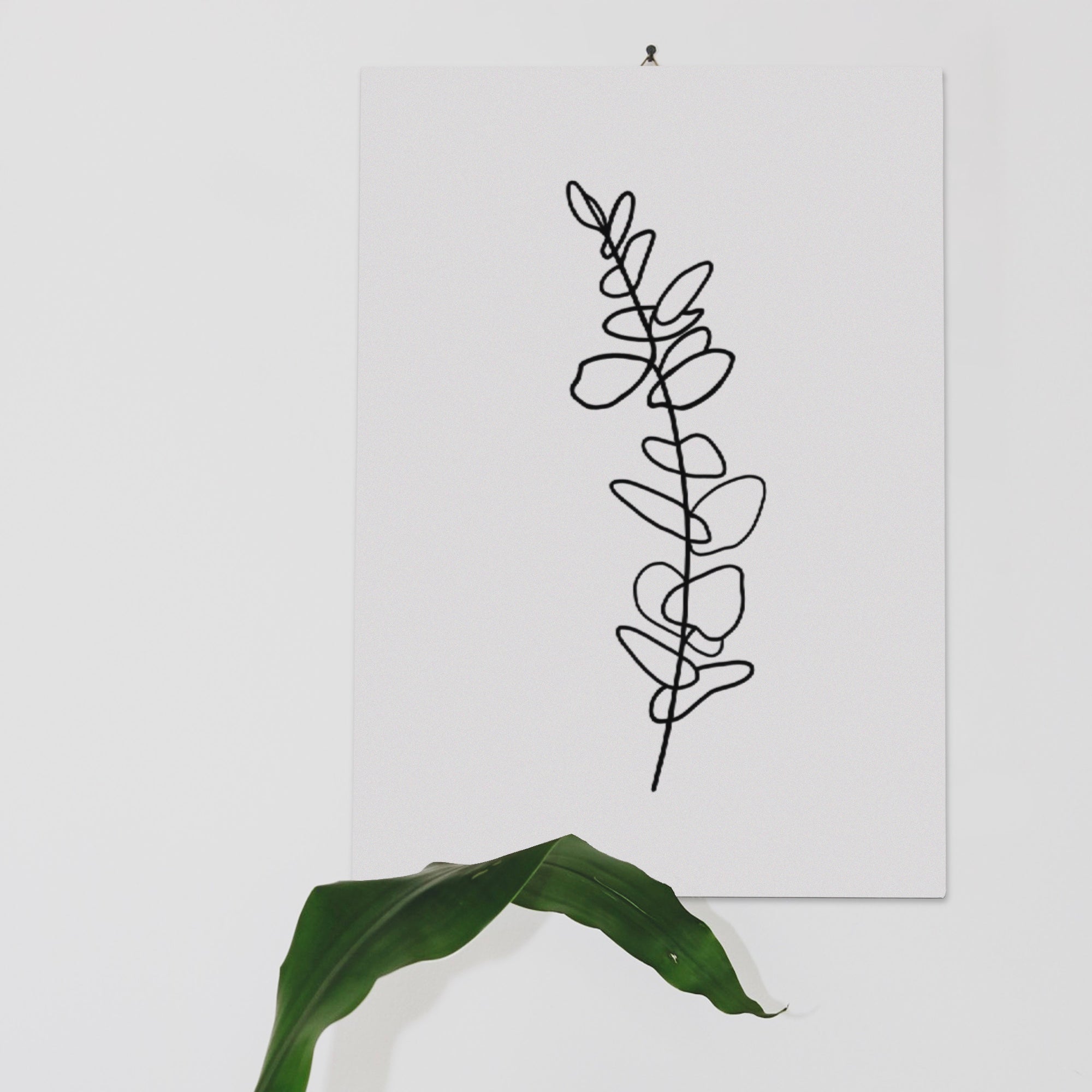 Eucalyptus Line Drawing Print - Single Branch Posters, Prints, & Visual Artwork Pretty Average