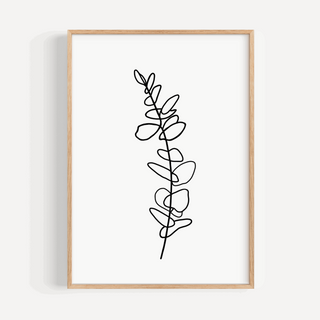 Eucalyptus Line Drawing Print - Single Branch Posters, Prints, & Visual Artwork Pretty Average