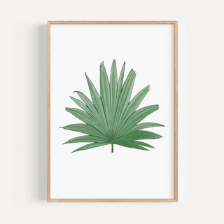 Fan Palm Leaf Print Posters, Prints, & Visual Artwork Pretty Average