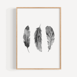 Feathers Print Posters, Prints, & Visual Artwork Pretty Average