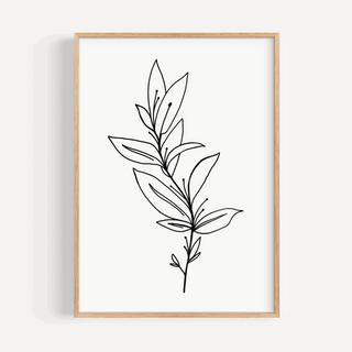 Leafy Branch Line Drawing Print Posters, Prints, & Visual Artwork Pretty Average