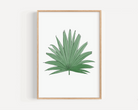 Fan Palm Leaf Print Posters, Prints, & Visual Artwork Pretty Average   