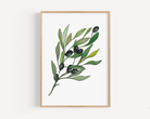 Olive Branch Print Posters, Prints, & Visual Artwork Pretty Average   