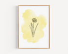 Yellow Watercolour Wildflower Print Posters, Prints, & Visual Artwork Pretty Average   