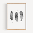 Feathers Print Posters, Prints, & Visual Artwork Pretty Average   