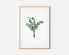 Eucalyptus Bunch Print Posters, Prints, & Visual Artwork Pretty Average   