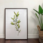 Branch Print Posters, Prints, & Visual Artwork Pretty Average   